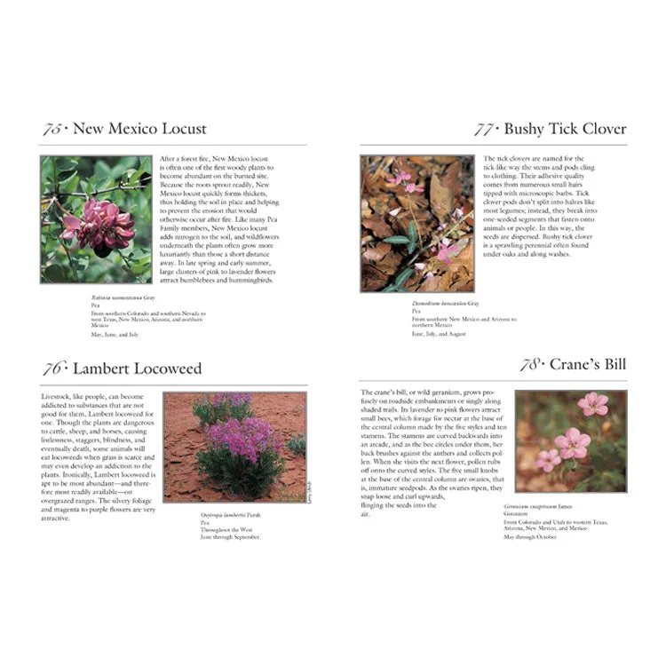 100 Roadside Wildflowers of the Southwest Woodlands - Image 2