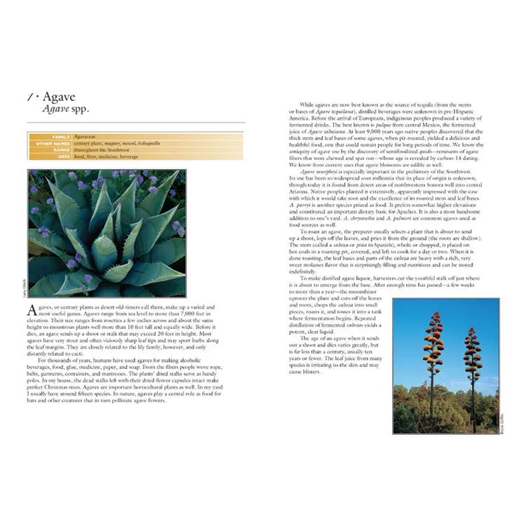 50 Common Edible & Useful Plants of the Southwest - Image 2