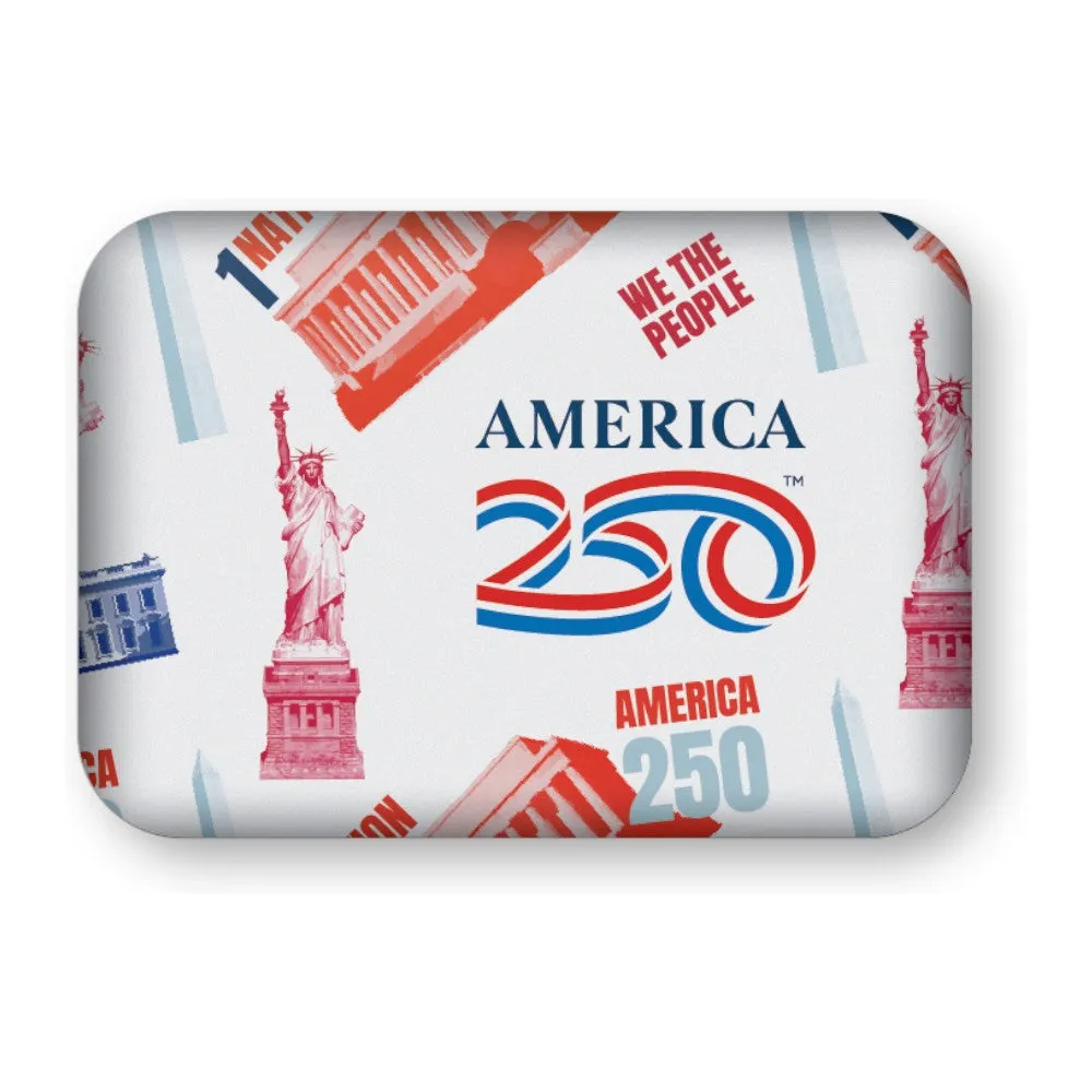 America 250 Magnet - We The People