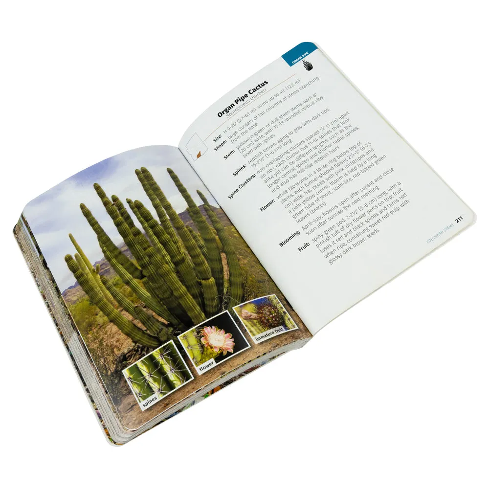 Cacti of Arizona Field Guide - 2nd Edition - Image 2