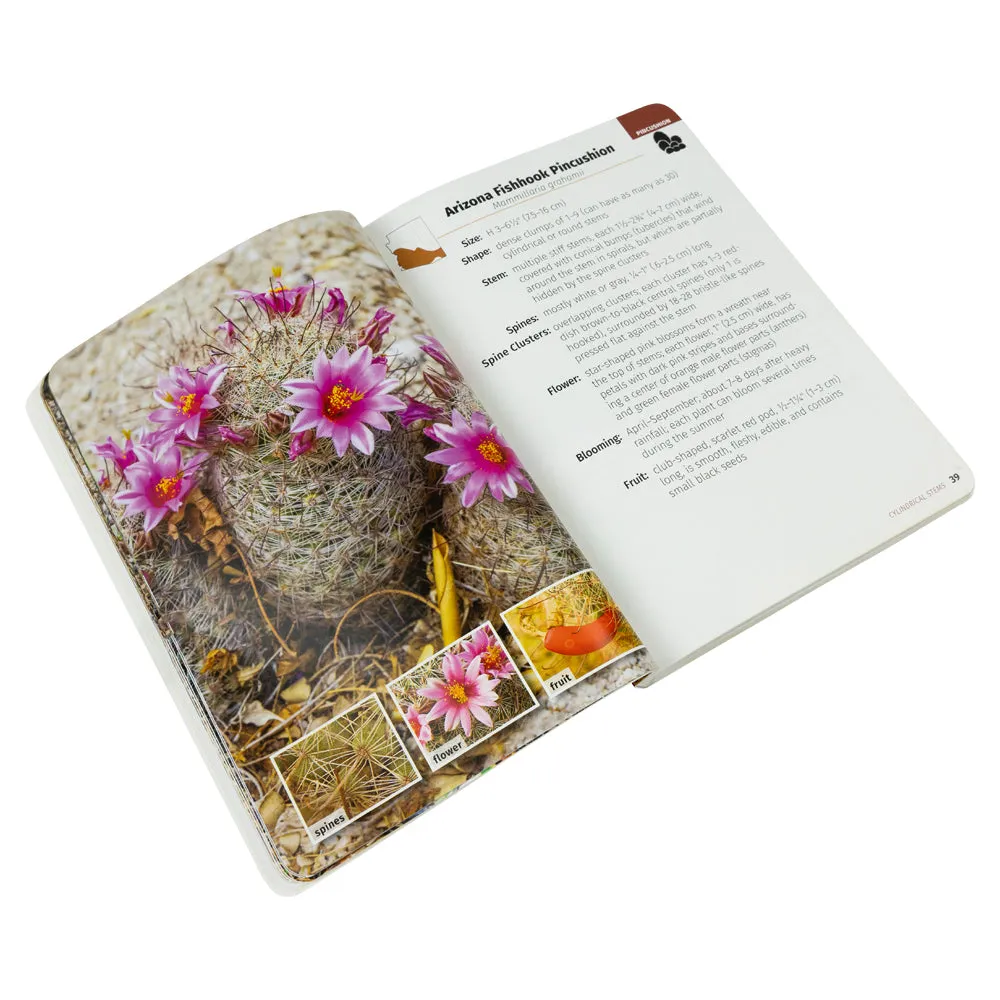 Cacti of Arizona Field Guide - 2nd Edition - Image 3