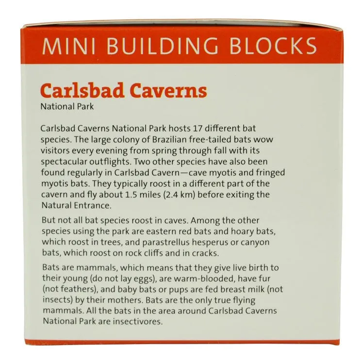 Carlsbad Caverns Brazilian Free-Tailed Bat Mini Block Set - Image 2