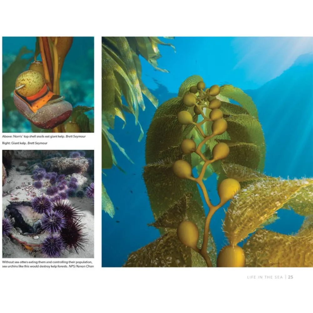Channel Islands National Park Book - Image 3