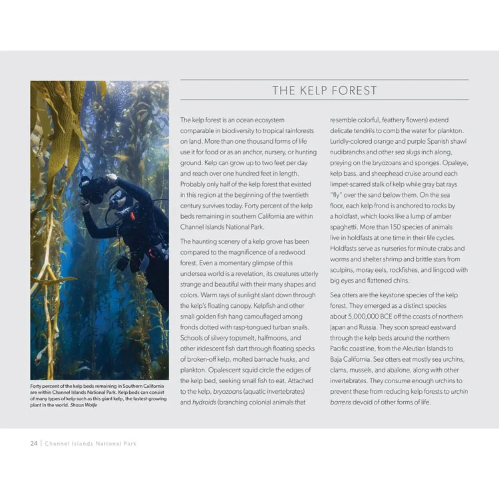 Channel Islands National Park Book - Image 4