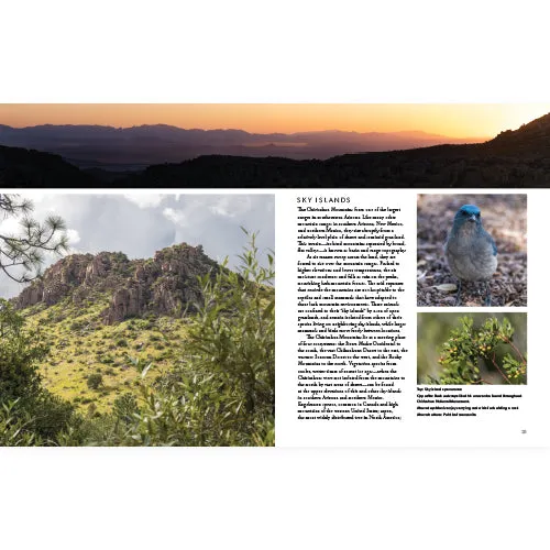 Chiricahua National Monument Book - Image 3