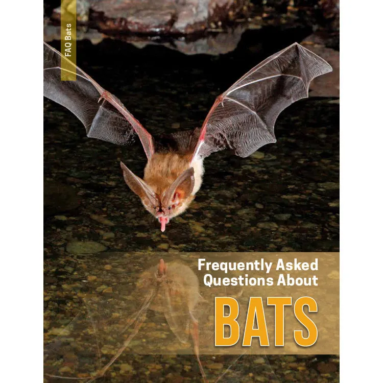 Frequently Asked Questions About Bats - 2nd Edition