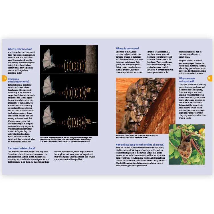 Frequently Asked Questions About Bats - 2nd Edition - Image 2