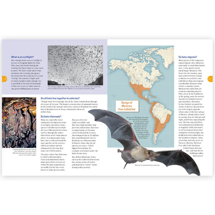 Frequently Asked Questions About Bats - 2nd Edition - Image 3