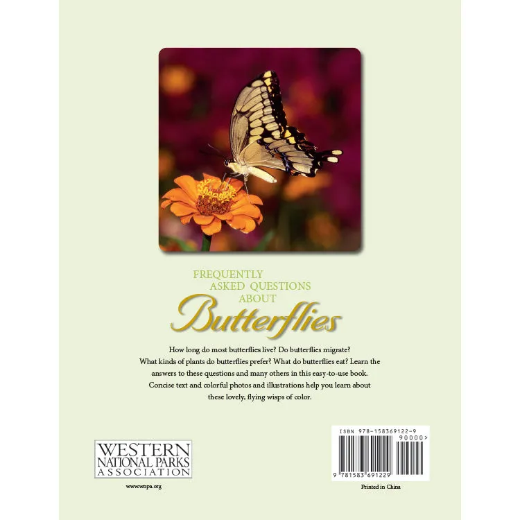 Frequently Asked Questions About Butterflies - Image 4