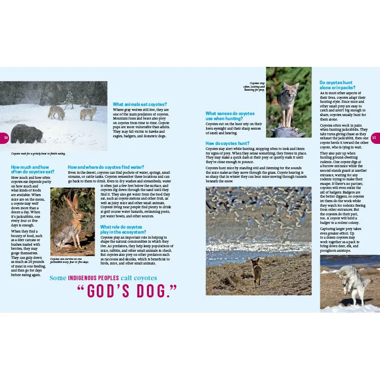 Frequently Asked Questions About Coyotes - 2nd Edition - Image 3