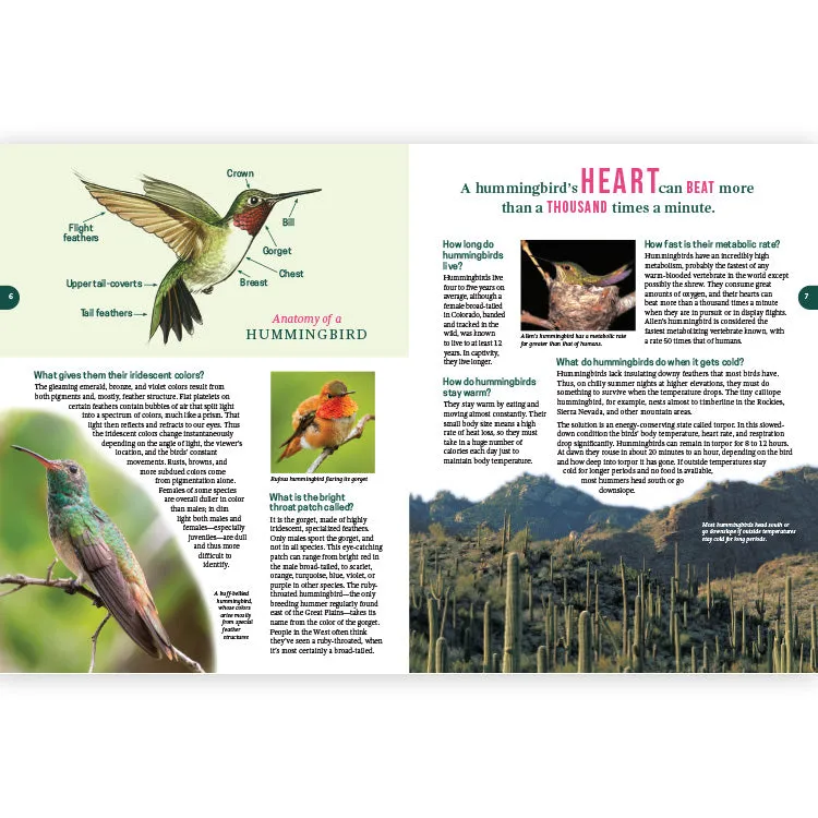 Frequently Asked Questions About Hummingbirds - 2nd Edition - Image 2