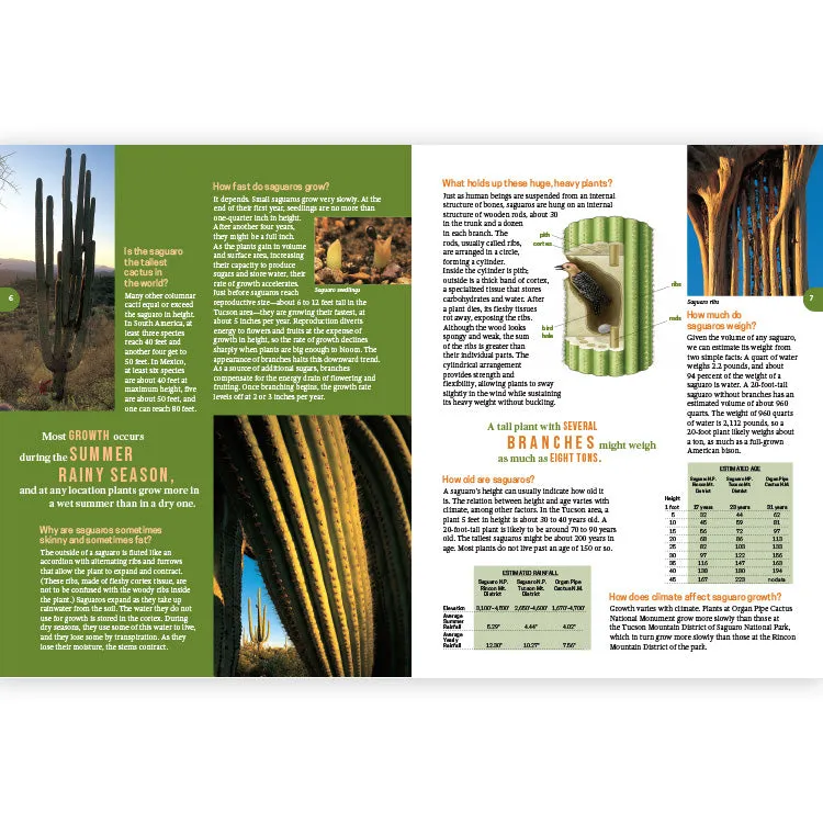 Frequently Asked Questions About the Saguaro - 2nd Edition - Image 2