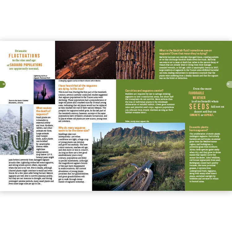 Frequently Asked Questions About the Saguaro - 2nd Edition - Image 3