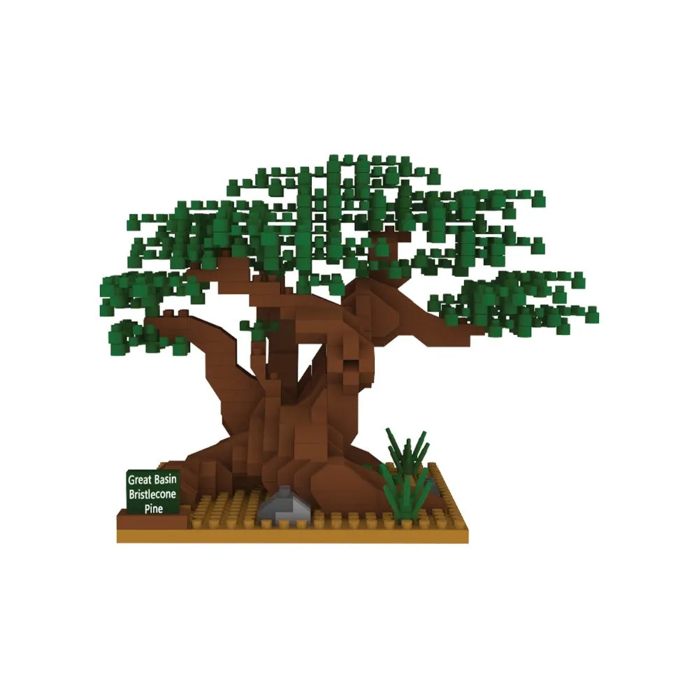 Great Basin National Park Bristlecone Pine Mini Block Set - Image 3