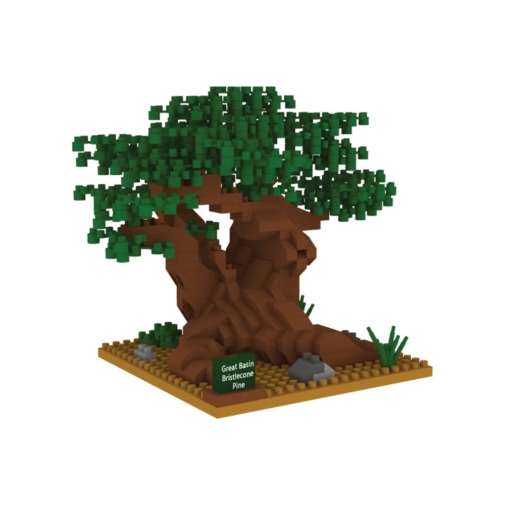 Great Basin National Park Bristlecone Pine Mini Block Set - Image 4