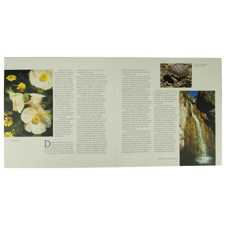 Lake Mead National Recreation Area Book - Image 2