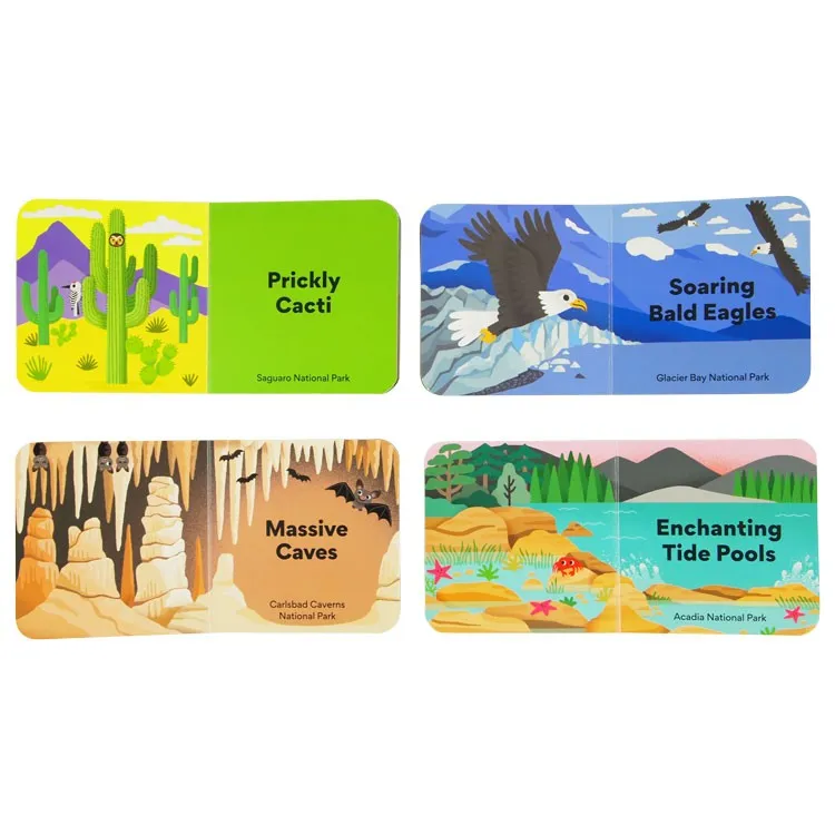 Little Park Ranger Board Book Set - Image 5