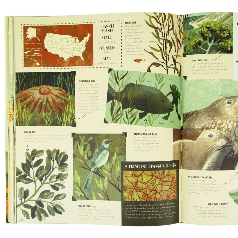 National Parks of the USA - Image 2