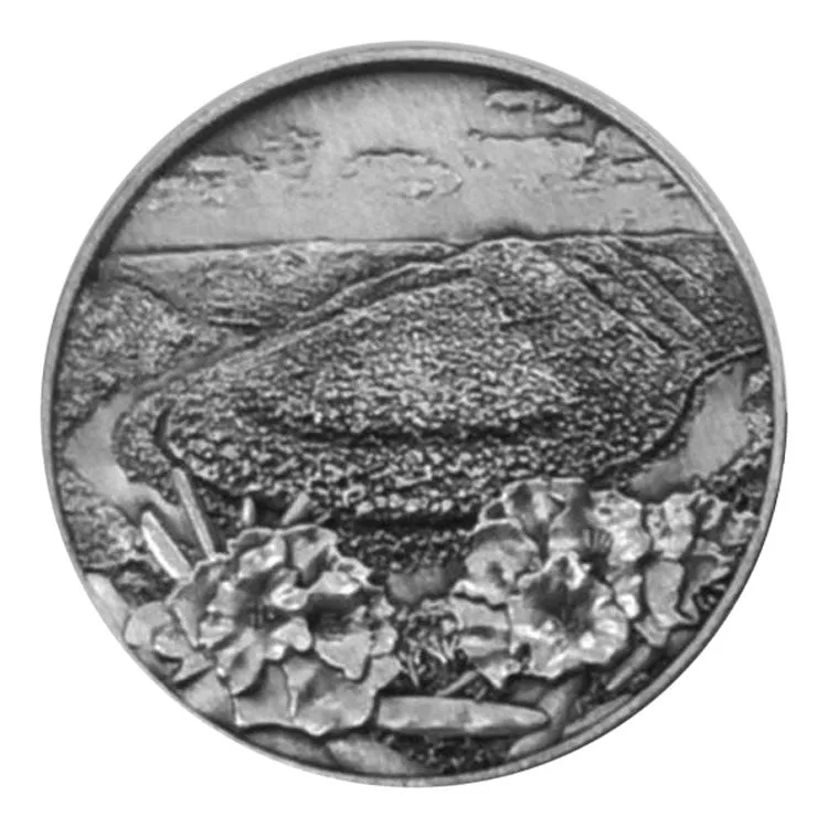 New River Gorge National Park Collectible Token - Sandstone Falls - Image 2