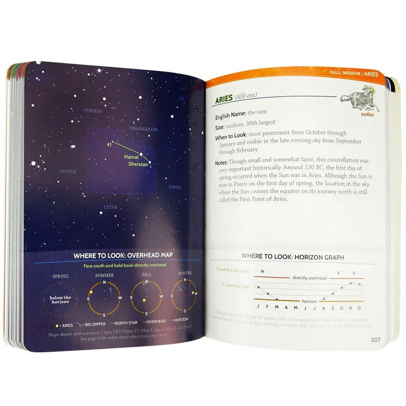 Night Sky: A Field Guide to the Constellations - Image 3