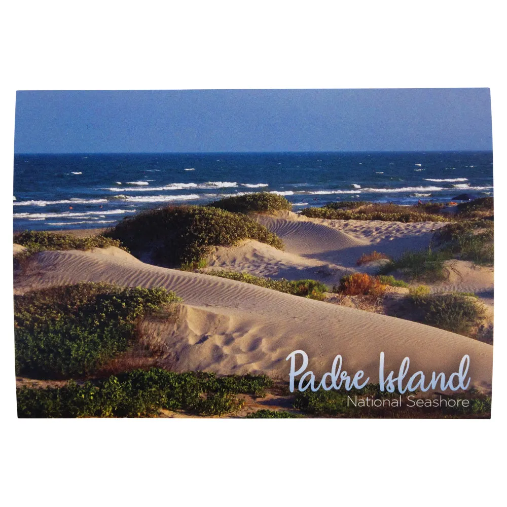 Padre Island National Seashore Postcards - Dune Photo
