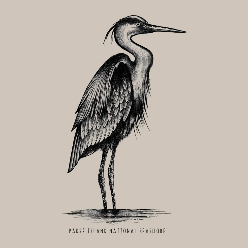 Padres Island National Seashore T-Shirt - Pencil Sketch - Image 2