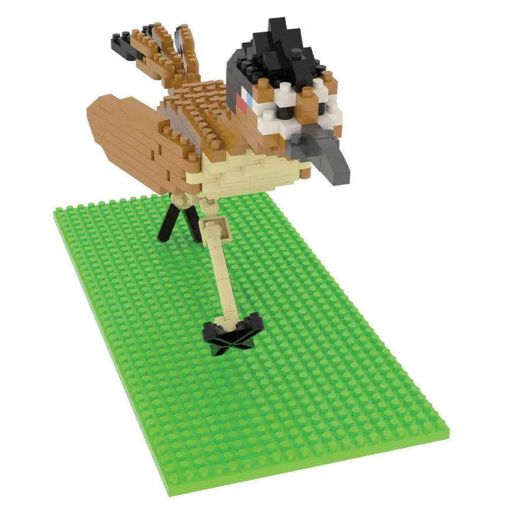 Roadrunner Mini Block Set - Image 3