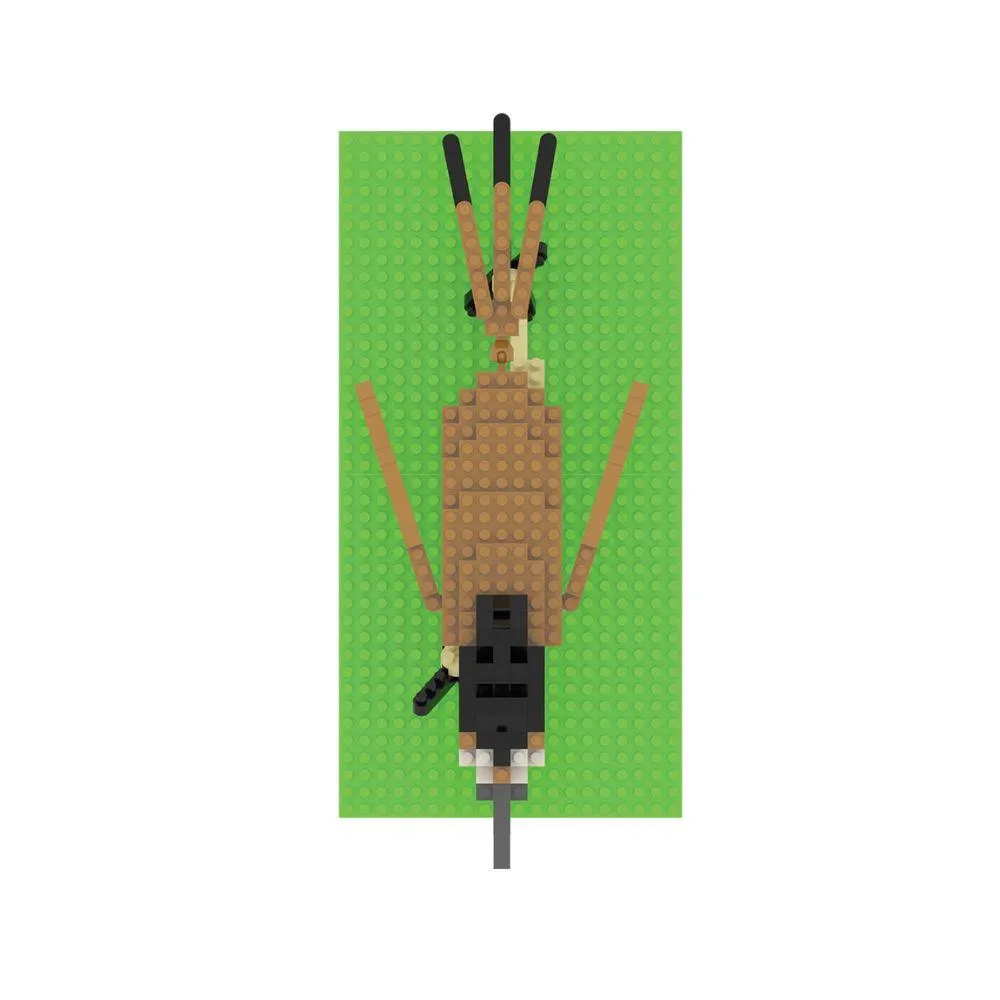 Roadrunner Mini Block Set - Image 7