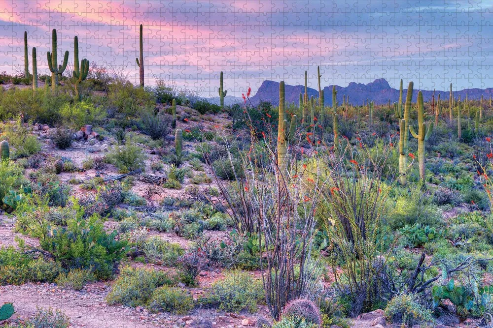 Saguaro National Park Double Puzzle - Image 2