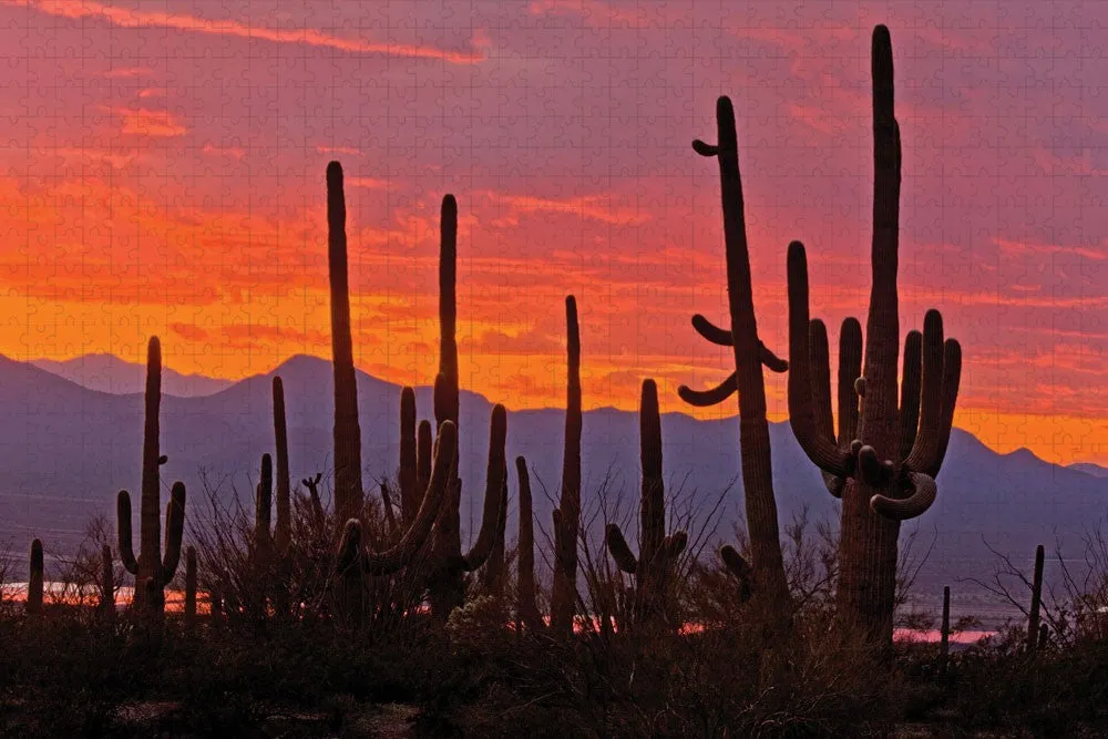 Saguaro National Park Double Puzzle - Image 3