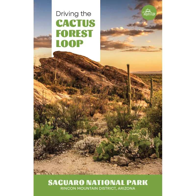Saguaro National Park Rincon District: Driving the Cactus Forest Loop