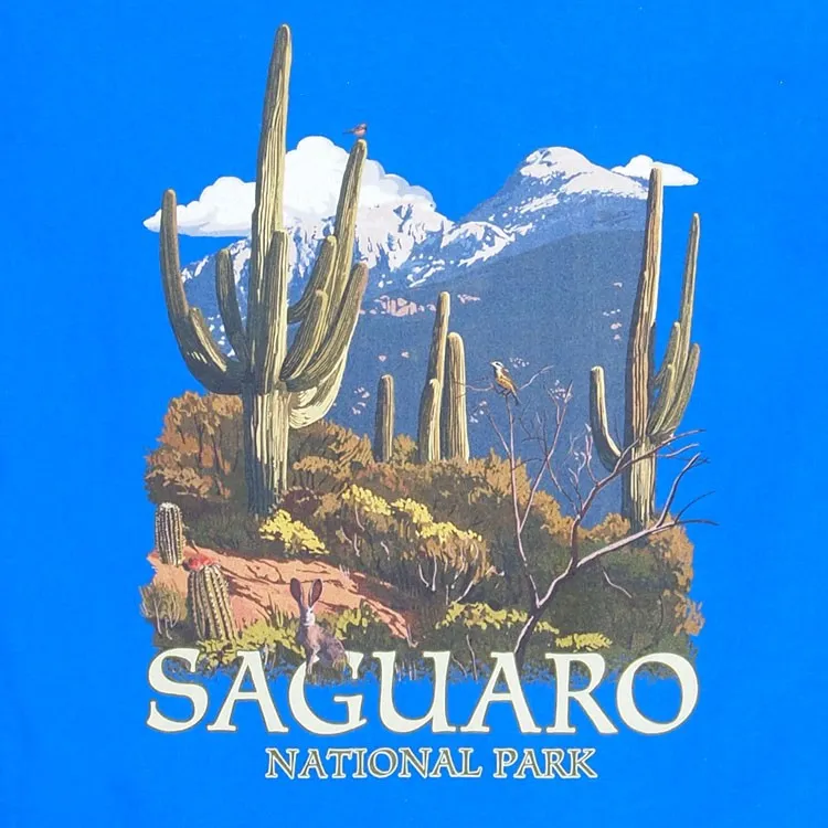 Saguaro National Park Youth T-Shirt - Rincon Peak - Image 2