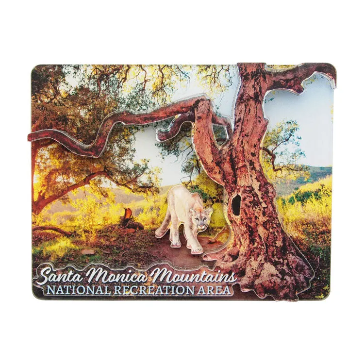 Santa Monica Mountains National Recreation Area Magnet - Lion 3D