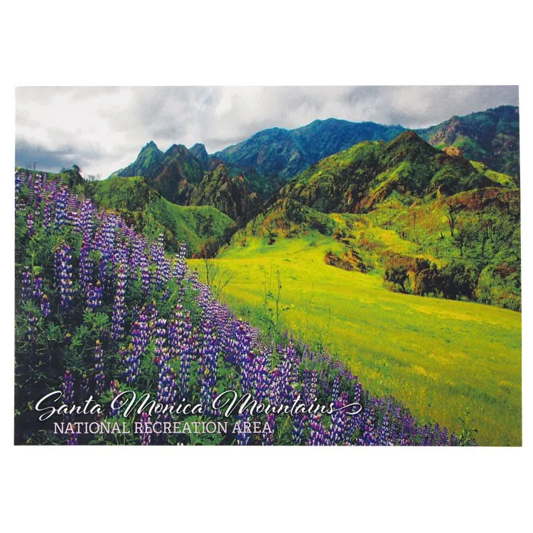 Santa Monica Mountains National Recreation Area Postcard - Yearling Meadow