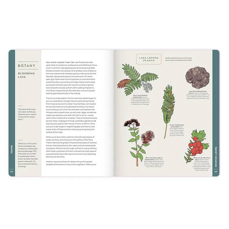 Scenic Science of the National Parks: An Explorer's Guide to Wildlife, Geology, and Botany - Image 7