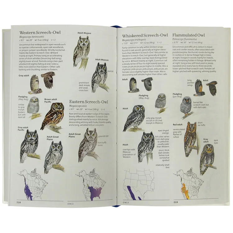 Sibley Birds West - Image 2