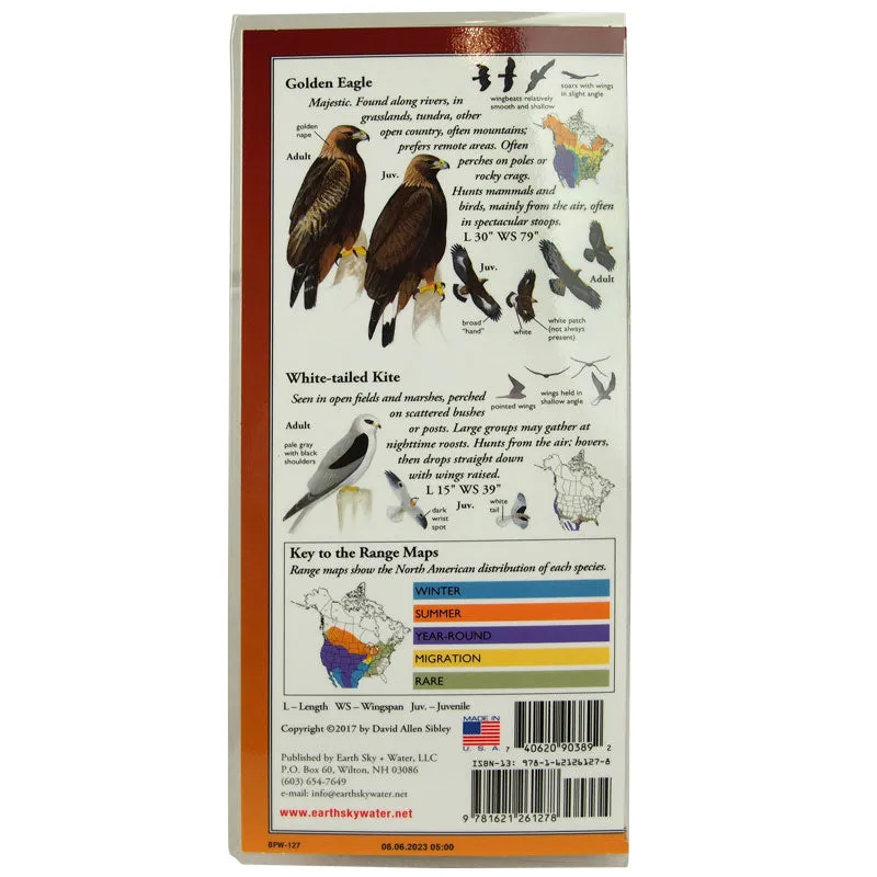 Sibley's Guide to Raptors of Western North America - Image 2