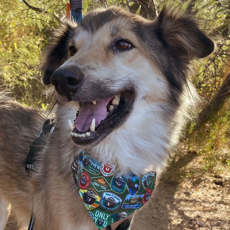 Smokey Bear Pet Bandana - Image 3