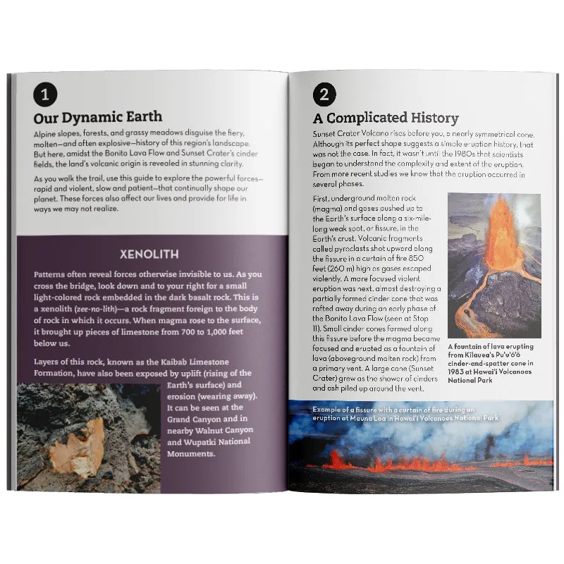 Sunset Crater Volcano National Monument Lava Flow Trail Guide - Image 3