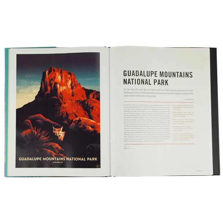 The Art of the National Parks - Image 3