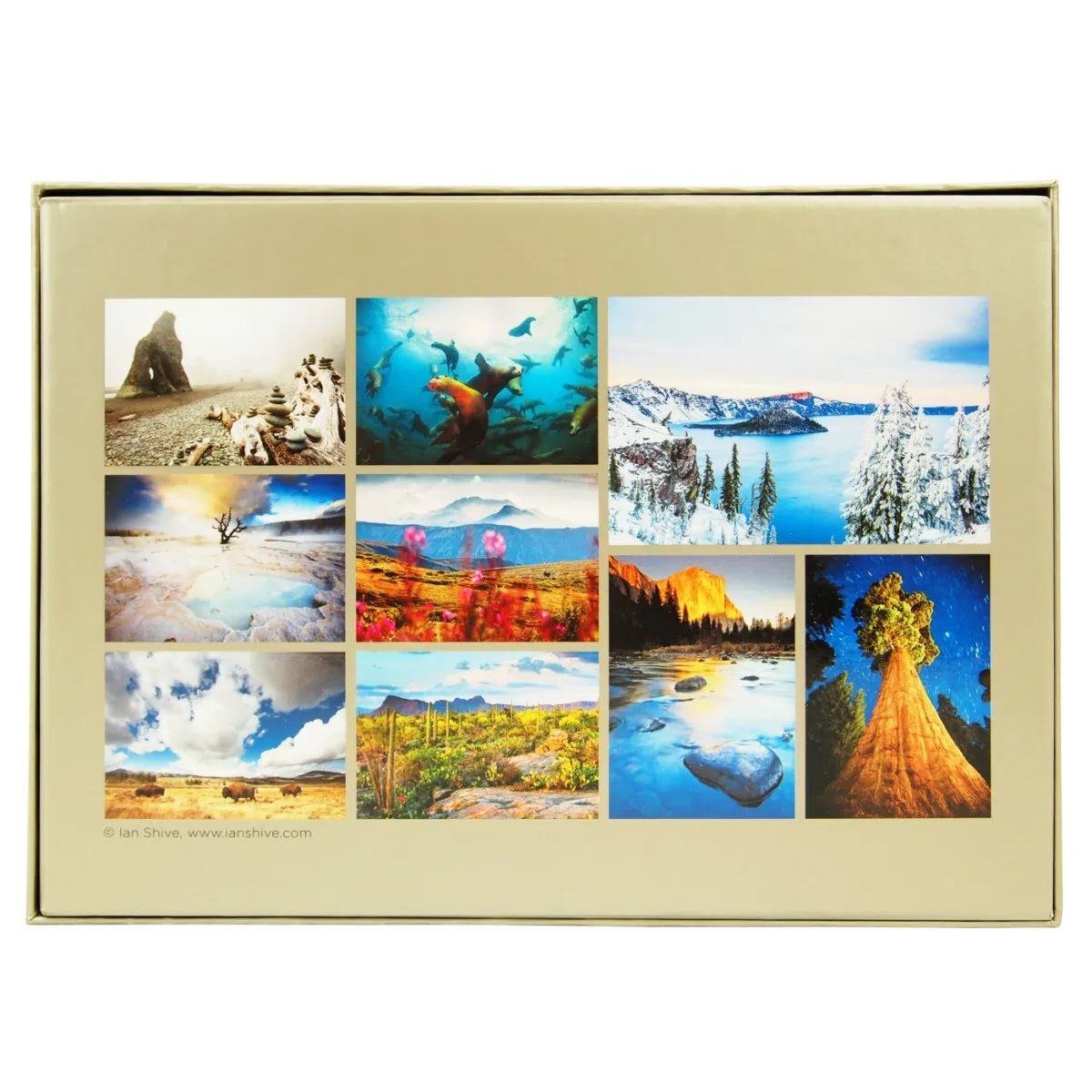 The National Parks Notecard Set - Image 2
