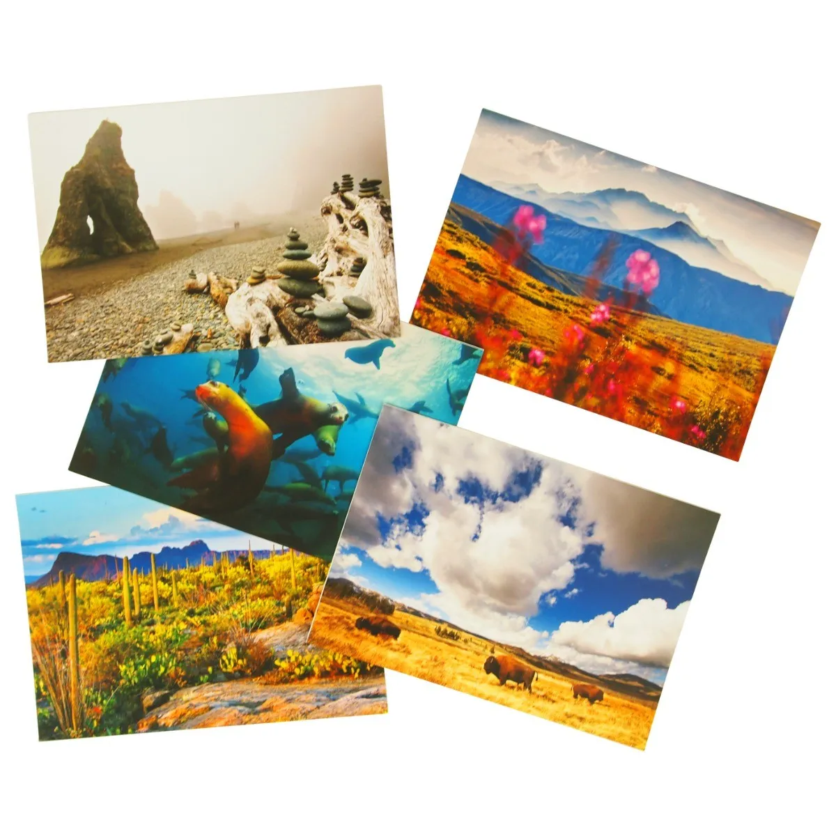 The National Parks Notecard Set - Image 3