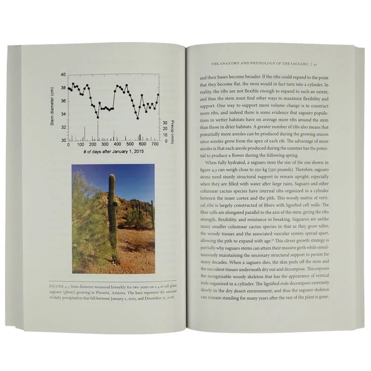 The Saguaro Cactus: A Natural History - Image 2