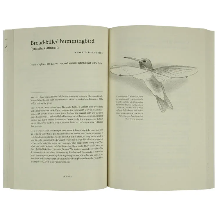The Sonoran Desert: A Literary Field Guide - Image 2
