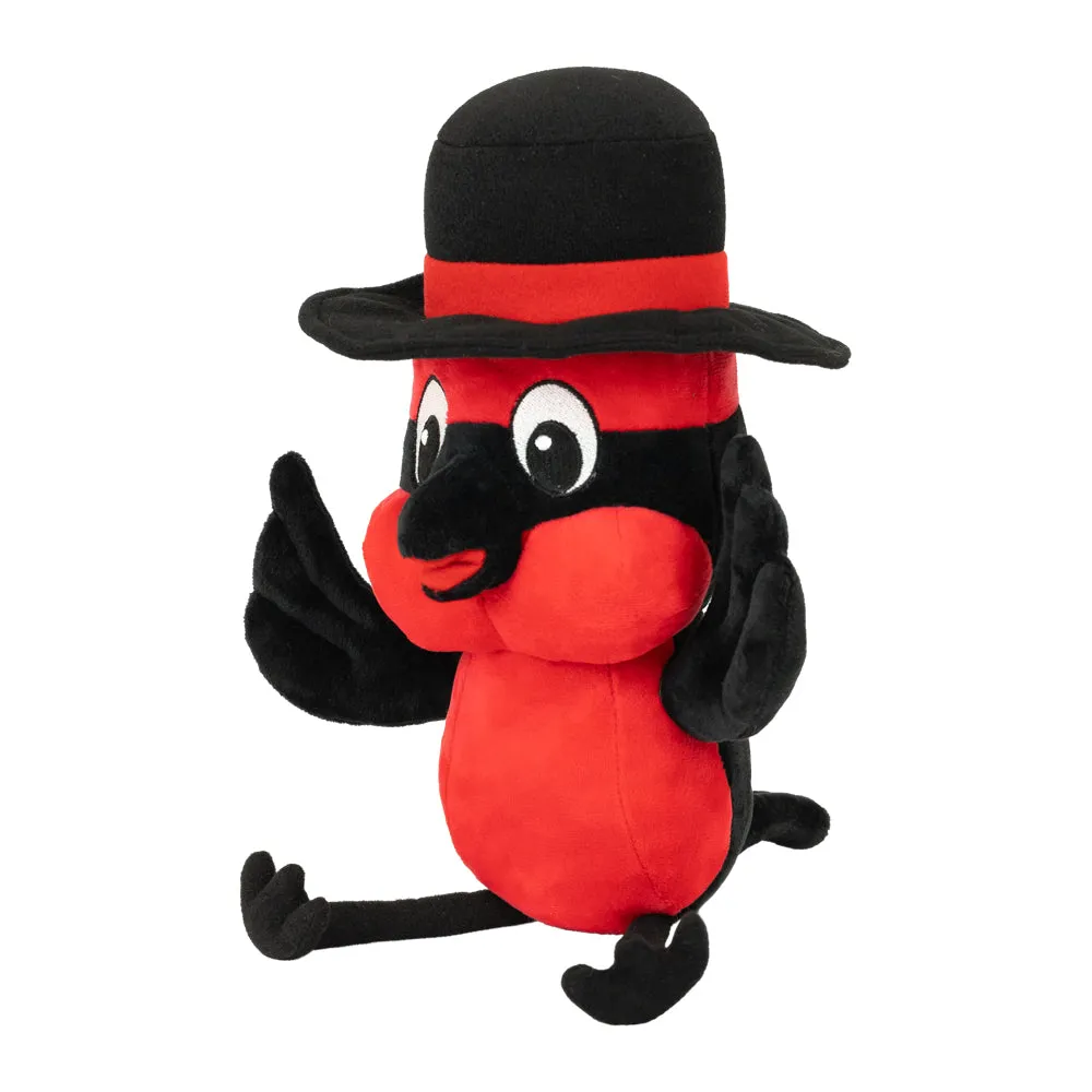 Pancho - Tumacácori National Historical Park Mascot Plush Toy - Image 3