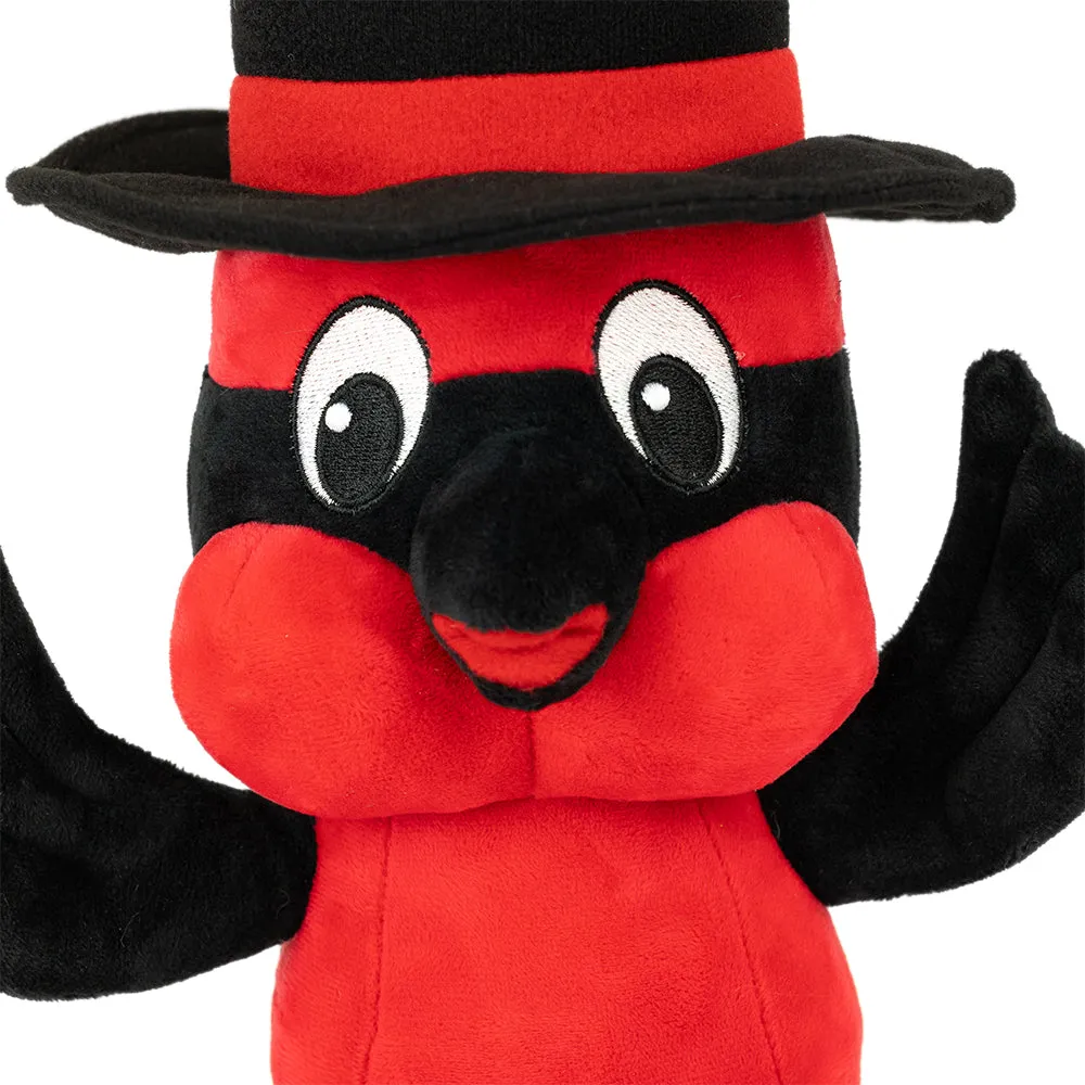 Pancho - Tumacácori National Historical Park Mascot Plush Toy - Image 4