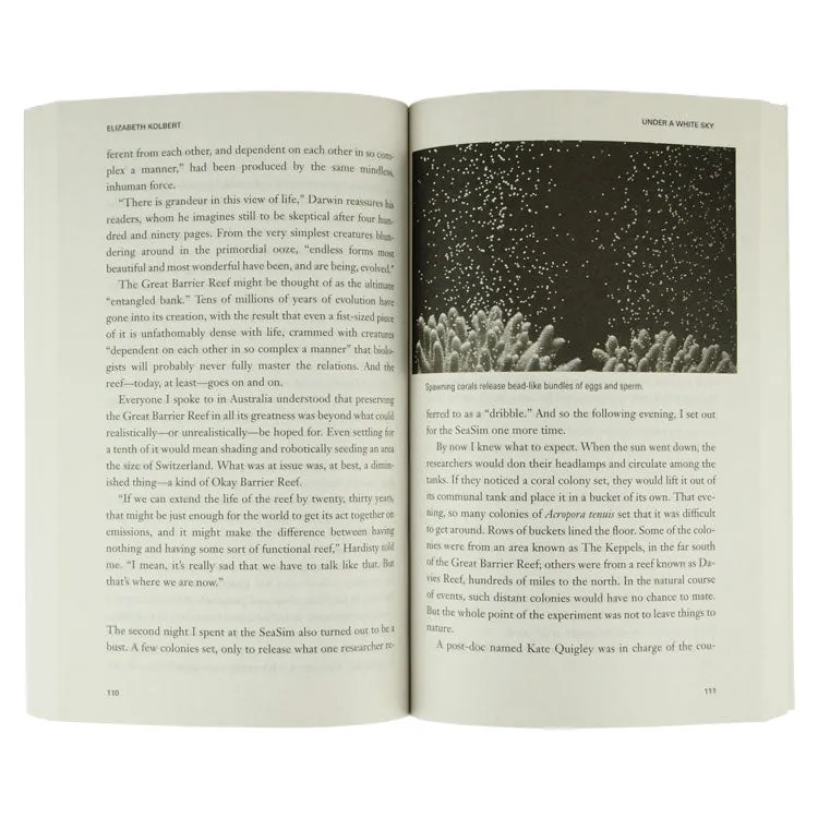 Under a White Sky: The Nature of the Future - Image 2