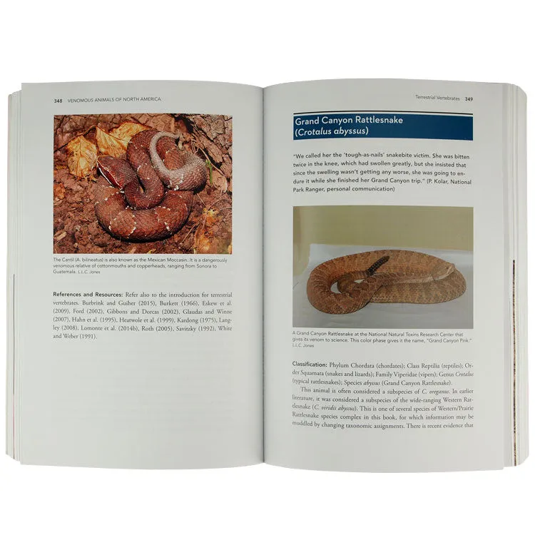 Venomous Animals of the United States and Canada - Image 2