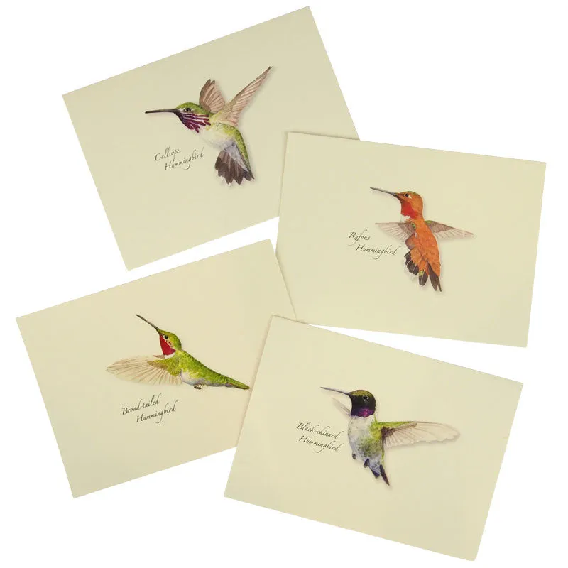 Western Hummingbird Notecard Set - Image 2