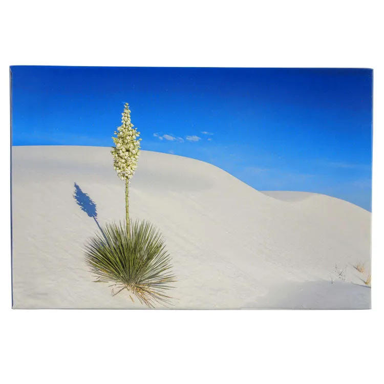 White Sands National Park Double Puzzle - Image 2